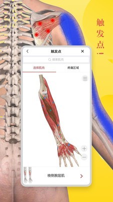 安卓3DBody解剖app