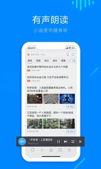 安卓safari浏览器app