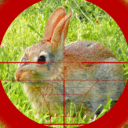 猎兔狙击手 破解版