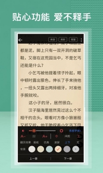 安卓蜂毒小说极速版软件下载