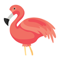 flamingo animator