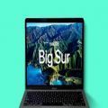 macos big sur 11.5 rc版