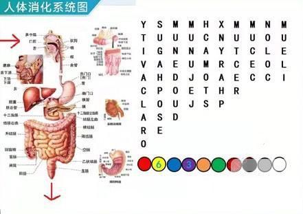 犯罪大师密室逃脱答案怎么解？密室逃脱谜题答案图文详解[多图]图片3