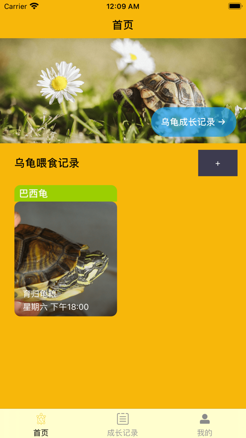 安卓养龟一记软件下载