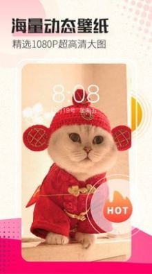 安卓沐氢vivo主题工坊appapp