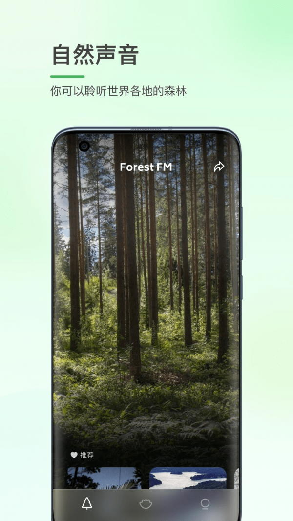 森林白噪音app下载