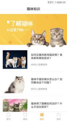 猫咪情绪识别软件app下载