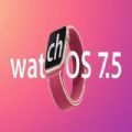 watchos 8 rc更新