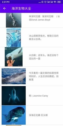 安卓海洋生物大全软件下载