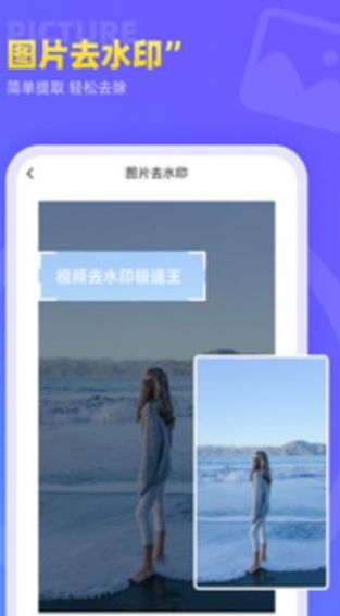 视频去水印极速王app下载