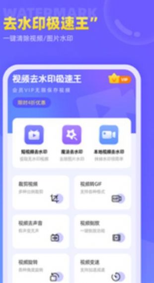 视频去水印极速王