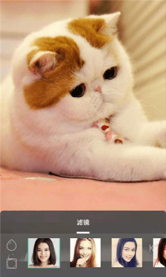 摸鱼鱼appapp下载