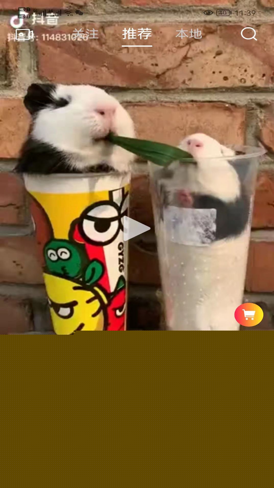 安卓傲睨appapp