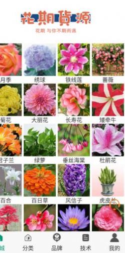 花期货源app下载
