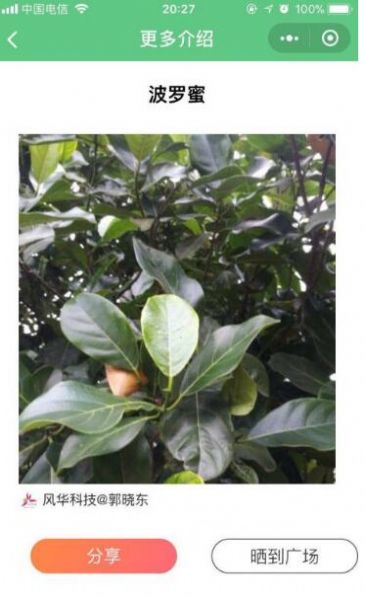 花草识别app下载
