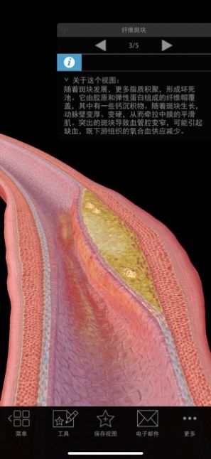 安卓生理和病理学2021最新版软件下载