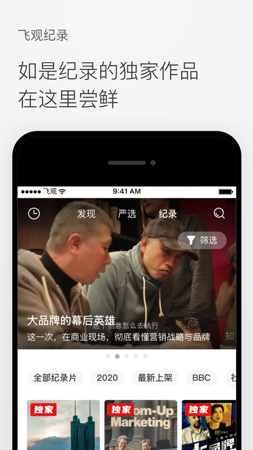 飞观