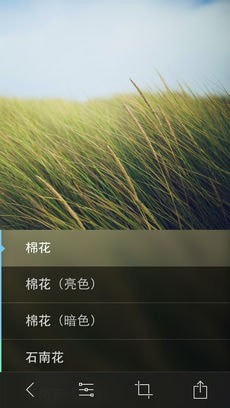 litely相机app下载