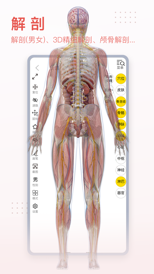 3dbody解剖学app