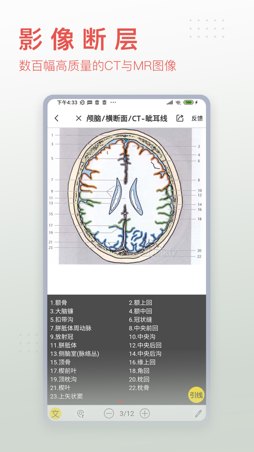 安卓3dbody解剖学app软件下载