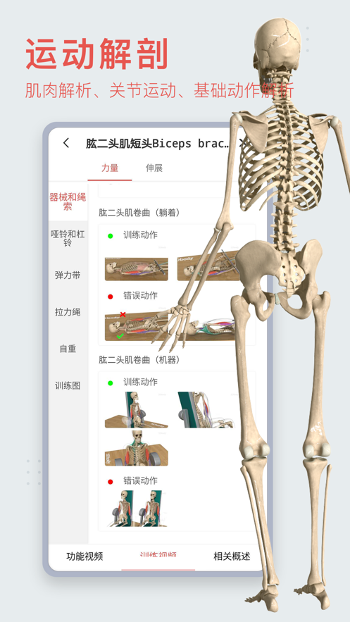 3dbody解剖学appapp下载