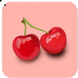 樱桃视频app2021