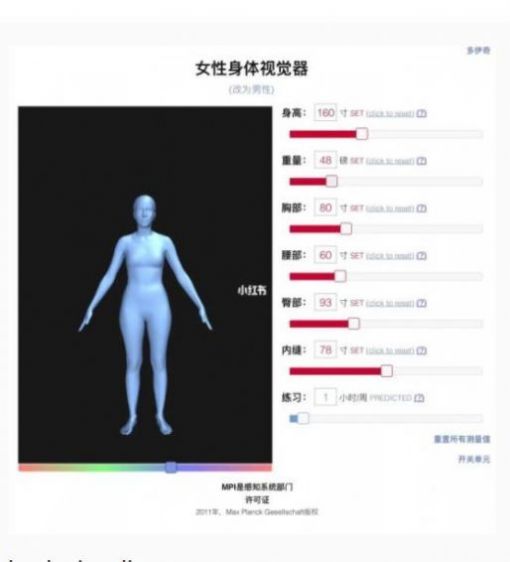 女性身体可视化器app下载