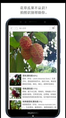 安卓拍照识花软件下载