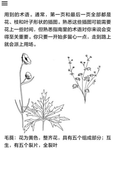 安卓野外植物识别手册软件下载