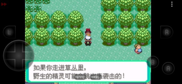 口袋妖怪鲤鱼王的逆袭金手指app下载