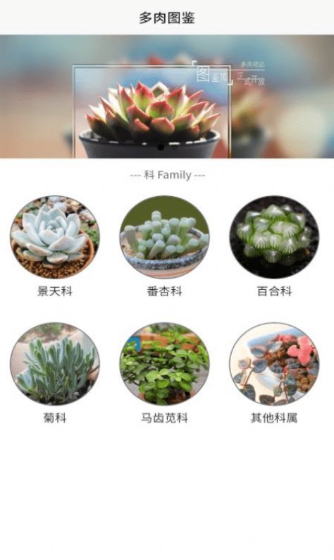 潮句多肉植物汇app下载