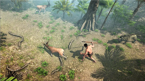 安卓荒岛海滩幸存者软件下载