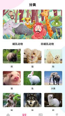 最强动物园app下载