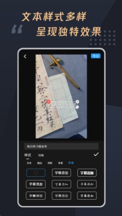 视频加字幕大师