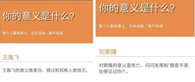 你的意义是什么 鬼东西测试最新版