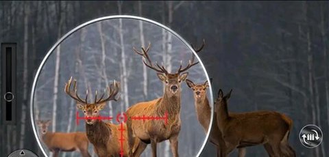 炽热狙击中文破解版