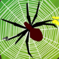 闲置蜘蛛游戏安卓最新版(idle spiders) v0.2