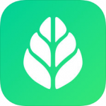 sgreen浏览器 免登录版