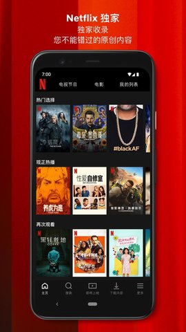 安卓网飞netflix app下载app