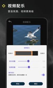 安卓video effect视频编辑app官方下载app