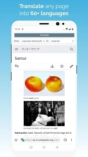 kiwi浏览器 最新安卓版