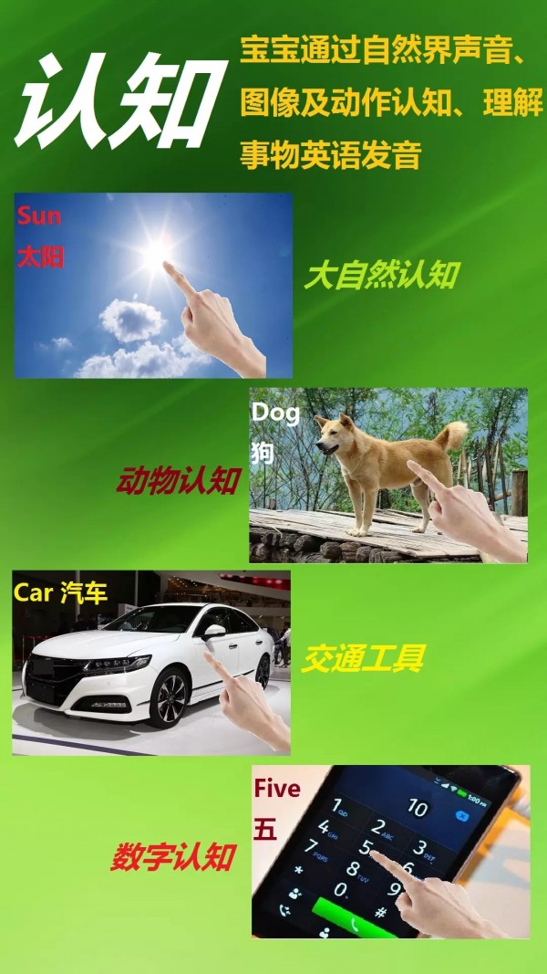 安卓早典app