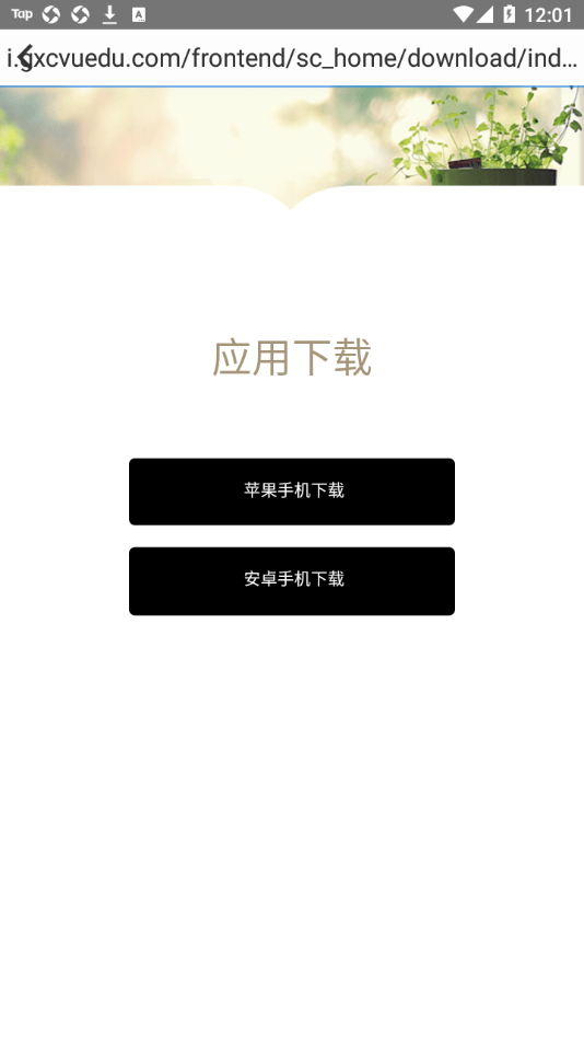 智慧城大下载