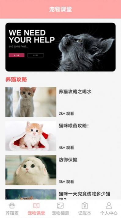 安卓遇见我的猫软件下载