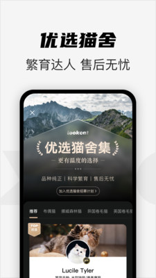 安卓看猫软件下载
