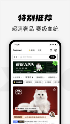 看猫app下载