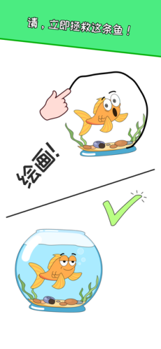 愤怒的母鸡下载