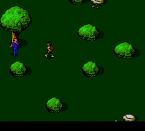 安卓答题闯关王红包版app