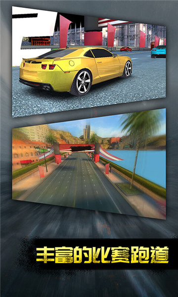 柴油赛车中文版