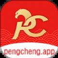 鹏程软件思维锻炼app官方版